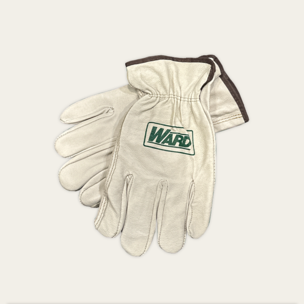 Large Standard Grain Pigskin Driver Gloves